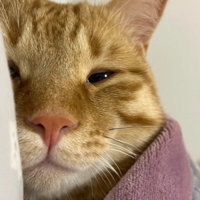 YH6002803's profile picture. BKPP ❤️💙พี่กิ้นน้องพีสุดหัวใจ❤️ แรงใจรายวันของพี่ 💙 #PP_PUTTHIPONG #bbillkin #ppkritt ชีวิตคีพคู่ คู่ชีวิต 😂😂😂😂😂