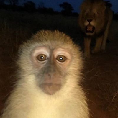 itscarlinho1's profile picture. 