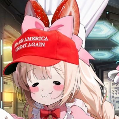 Christian | Software engineer | Nintendo Shill | Veteran