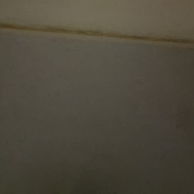 MianAdnan157994's profile picture. 