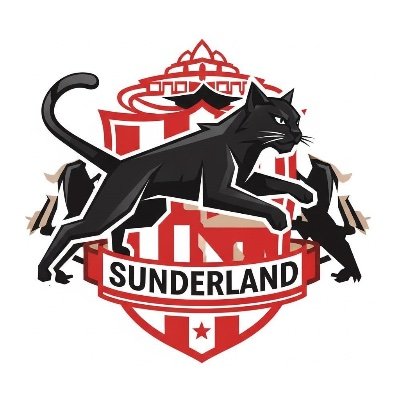 I'm rooting for Sunderland 🔴⚪ Premier League/Soccer lover Supporting Sunderland from Japan!🇯🇵 #SAFC @SunderlandAFC/@REYSOL_Official