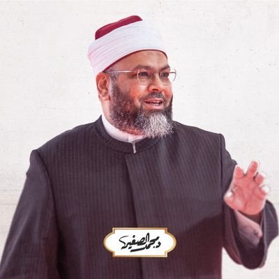 رئيس الهيئة العالمية لأنصار النبيﷺ ، ومؤسس وقف الأنصار.