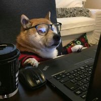 بَلابولی (@bala_bully) 's Twitter Profile
