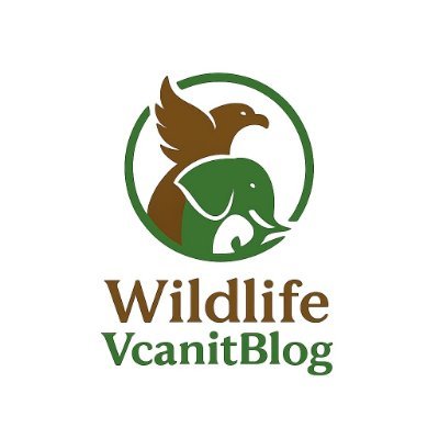 Curious about Animals and Birds? We bring the wild closer to you—easy, fun & real.