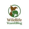 vcanitblog's profile picture. Curious about Animals and Birds? We bring the wild closer to you—easy, fun & real.