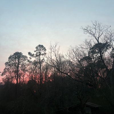 SteveSmitharv's profile picture.