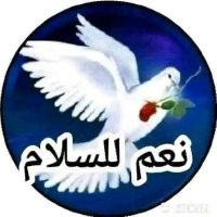 ✈️فرز _✈️السلام02✈️ (@beace_2) Twitter profile photo