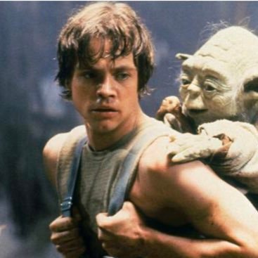 n00bhere's profile picture. buy green sell red welcome and congratulations