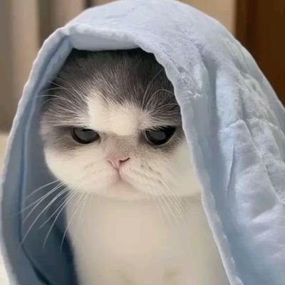 zl7364908433764's profile picture. @Auautnp 🐶 @savewrg😸