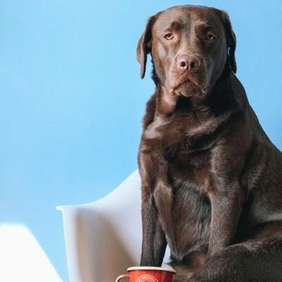 BrookeFeuling1's profile picture. ✨ Creating magic in everyday moments | Coffee enthusiast ☕