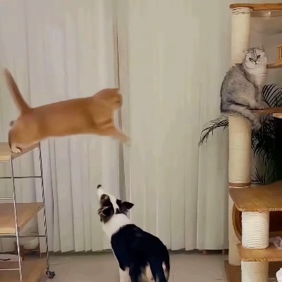 wjslkkhhh's profile picture. 