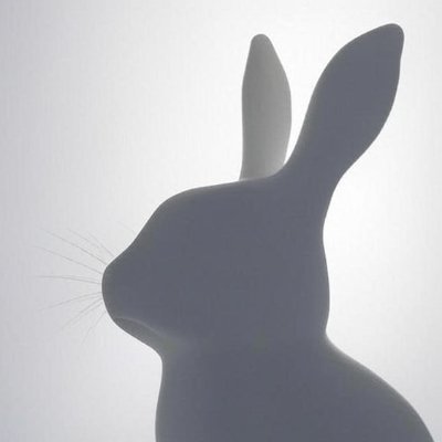 grayestrabbit's profile picture. Anti-woke former British citizen who hopes it's not too late to turn the tide.