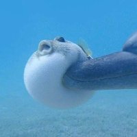 Jeremy Glaus (@jeremyglaus) 's Twitter Profile