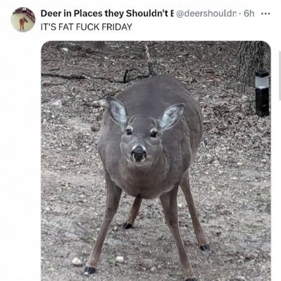 theskibidi_leo's profile picture. Uh hio Tourettes//adhd//❗️minor🥹//pr0shit, problematic DNI💢// just a loser who does art or smth. I like deers I guess. and dinosa-