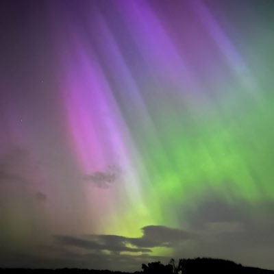 Hamm1815937's profile picture. 