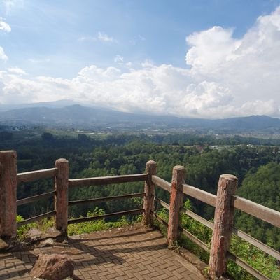 Rvianwidjaja19's profile picture. im a chill guys