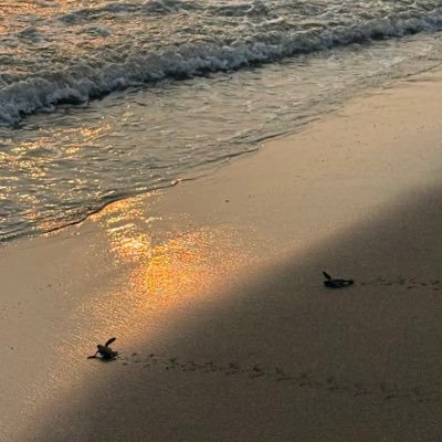 Valeria65624792's profile picture. 