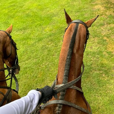 MdAathil1's profile picture. Horse riding and polo are my happy places 🐎. I love the feeling of freedom when I ride, the teamwork during a polo match, and the special connection I share wi