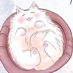 むんば🌱さんのプロフィール画像