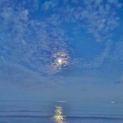 michalsz92's profile picture. 