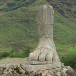 zeeshopper's profile picture. 