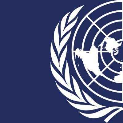 FN-forbundet Profile