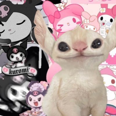 zddablue's profile picture. — my feelings for skynani are 100% real💫