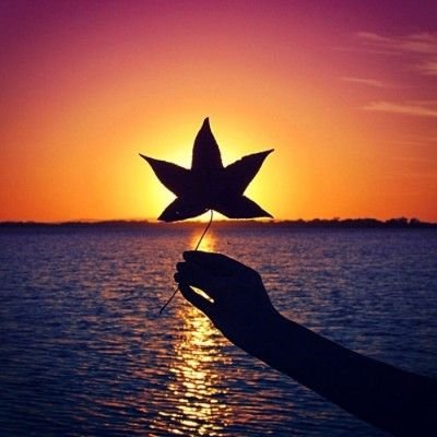 Alma66666666's profile picture. Life lover ❤️ | Fitness 🏋️‍♀️, Games 🎮, Music 🎶, Movies 🎬 | Share your favorite hobby