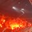 afca_ms's profile image