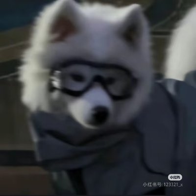 Rien_yixuan's profile picture. 无