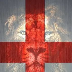 AnnieRooney3's profile picture. Dual Citizen/Paralegal 🇬🇧 🇨🇦 🇮🇪 ✝️