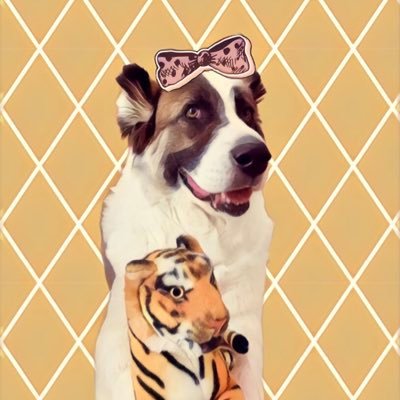 𝗠𝗶𝘀𝘀 𝗖𝗼𝗼𝗹-𝗟𝗼𝗼𝗸𝗶𝗻𝗴 is my ᴅᴥ︎ɢ. She’s the coolest.