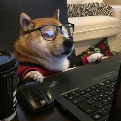 z_index0's profile picture. building ui , wannabe problem solver