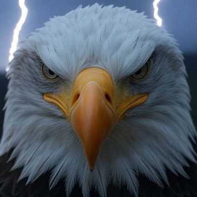 #Christian ✝️🇺🇸🎗️🇮🇱🚫 NO DM