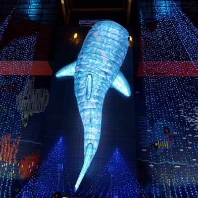 まどか*∞ ‎🤍🏰🧊さんのプロフィール画像