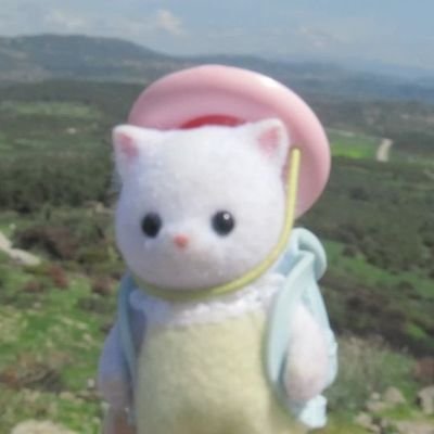 sooyanzhs's profile picture. 🩷🌷