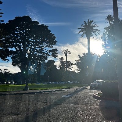 MnfstrCptl's profile picture. 