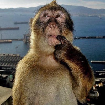 ilycrimess's profile picture. 