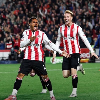 crunchbrentford's profile picture. 🐝🎵📚