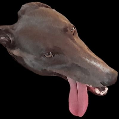 MarkGoldie94840's profile picture. Conservative, Christian, English patriot