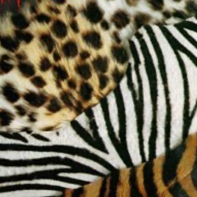 MNorton8484's profile picture. 