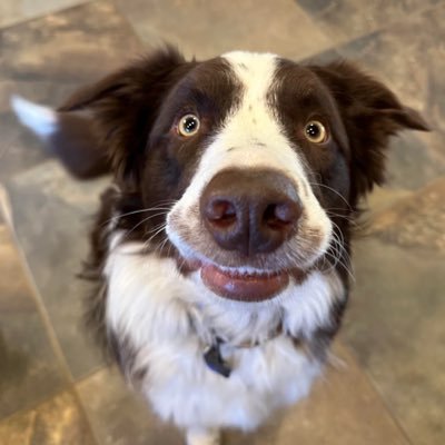 OldDirtyBamBam's profile picture. Hangin’ with my peeps