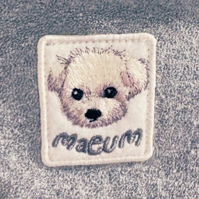 しっかりオトナENGENEで元島民リアタイ勢▷ドSでマジメで責任感強くてメンバー想いでENGENE愛強くてきゅるきゅるにゃんこなのにいきなり男でゴハンをゆっくり丁寧に食べて寝る時は絶対裸足でれちゅごなジョウォナが大好きyoi