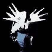 Xulmari's profile picture. Escritor frustrado, ajedrecista frustrado, político frustrado y frustrado en general.