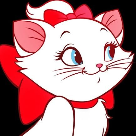 meio gata, meio escritora e meio emo nas horas vagas | 🛎️ @sininhodanono