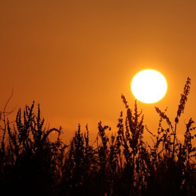 petemac749's profile picture. Former #Sapper now a commercial mechanical/combustion engineer. Married, sharing life with Someone special, 3 Lads and a Springer Spaniel #SaintsFC 🇬🇧