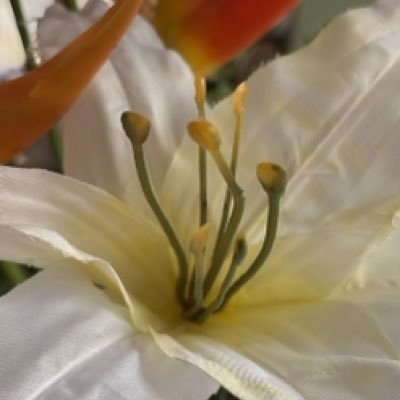 EvePaz777's profile picture. 