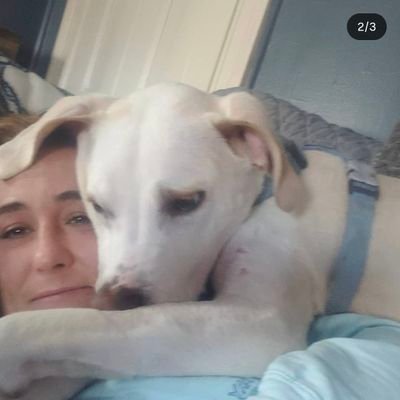 🇺🇲 ✝️ 🌮 🍁 🐶 ♎️ 🇺🇸 #31 #45 #47 🇺🇸
Daughter of a Vietnam veteran Granddaughter of a WWII veteran