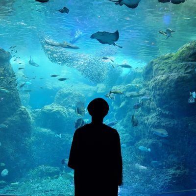 ff_thetosking's profile picture. 