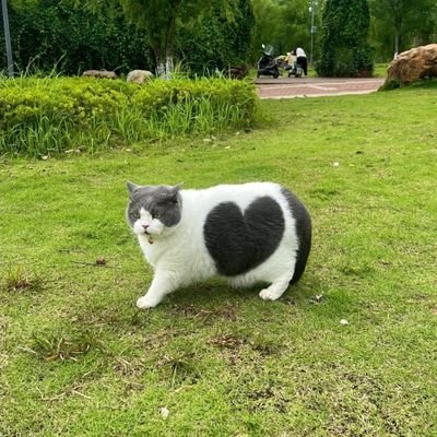 restuxtr's profile picture.